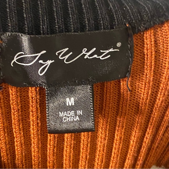 Say What Multi Stripe Bodycon Dress - Picture 6 of 10